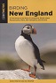 Birding New England